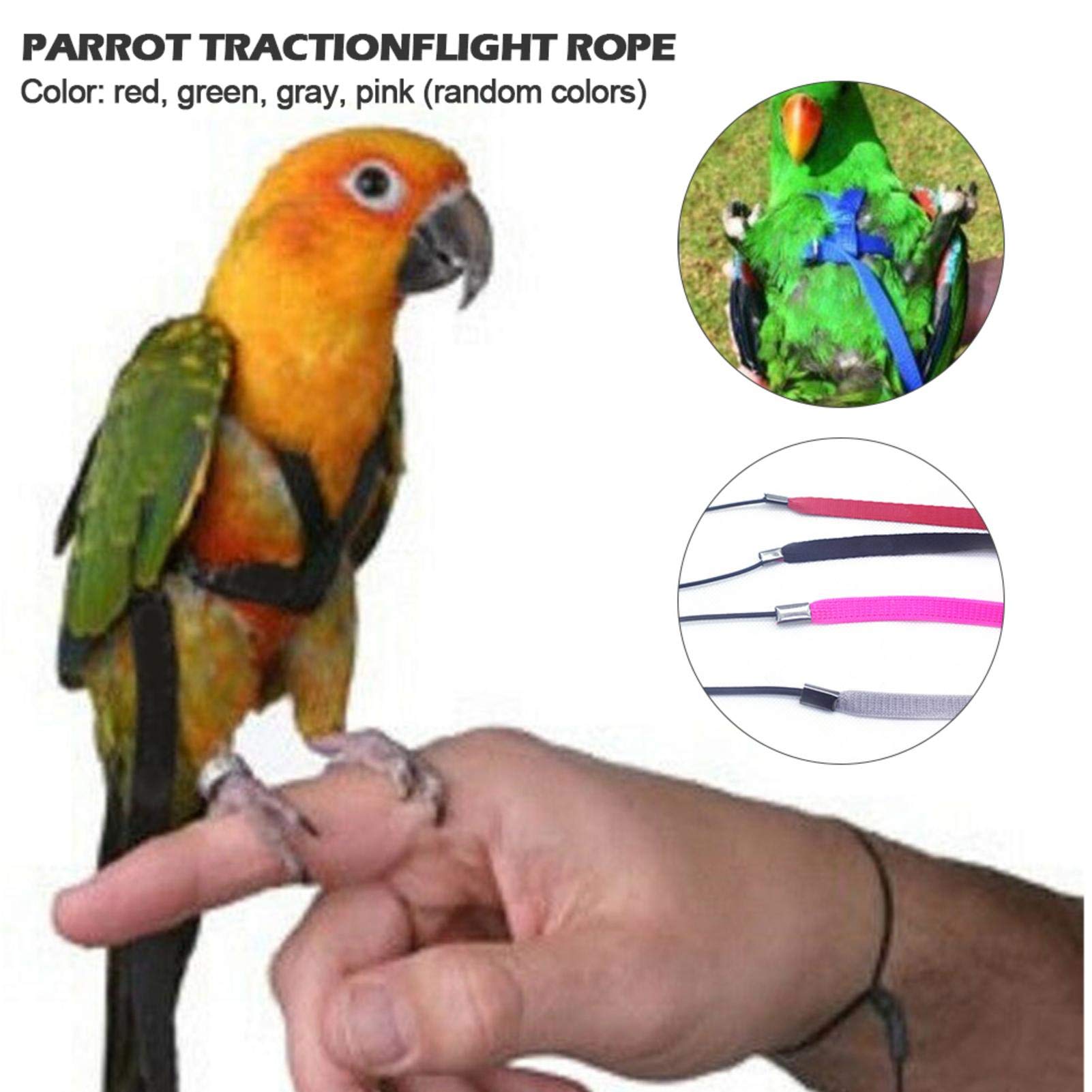 Amazon | オウムハーネス 鳥用 ハーネス リード オウム インコ鳥 