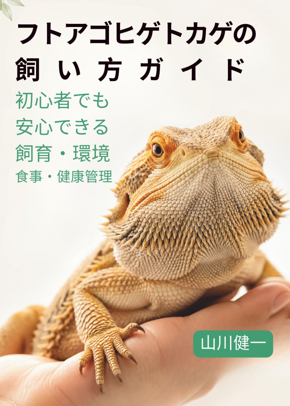 フトアゴヒゲトカゲの飼い方ガイド: 初心者でも安心できる飼育・環境・食事・健康管理