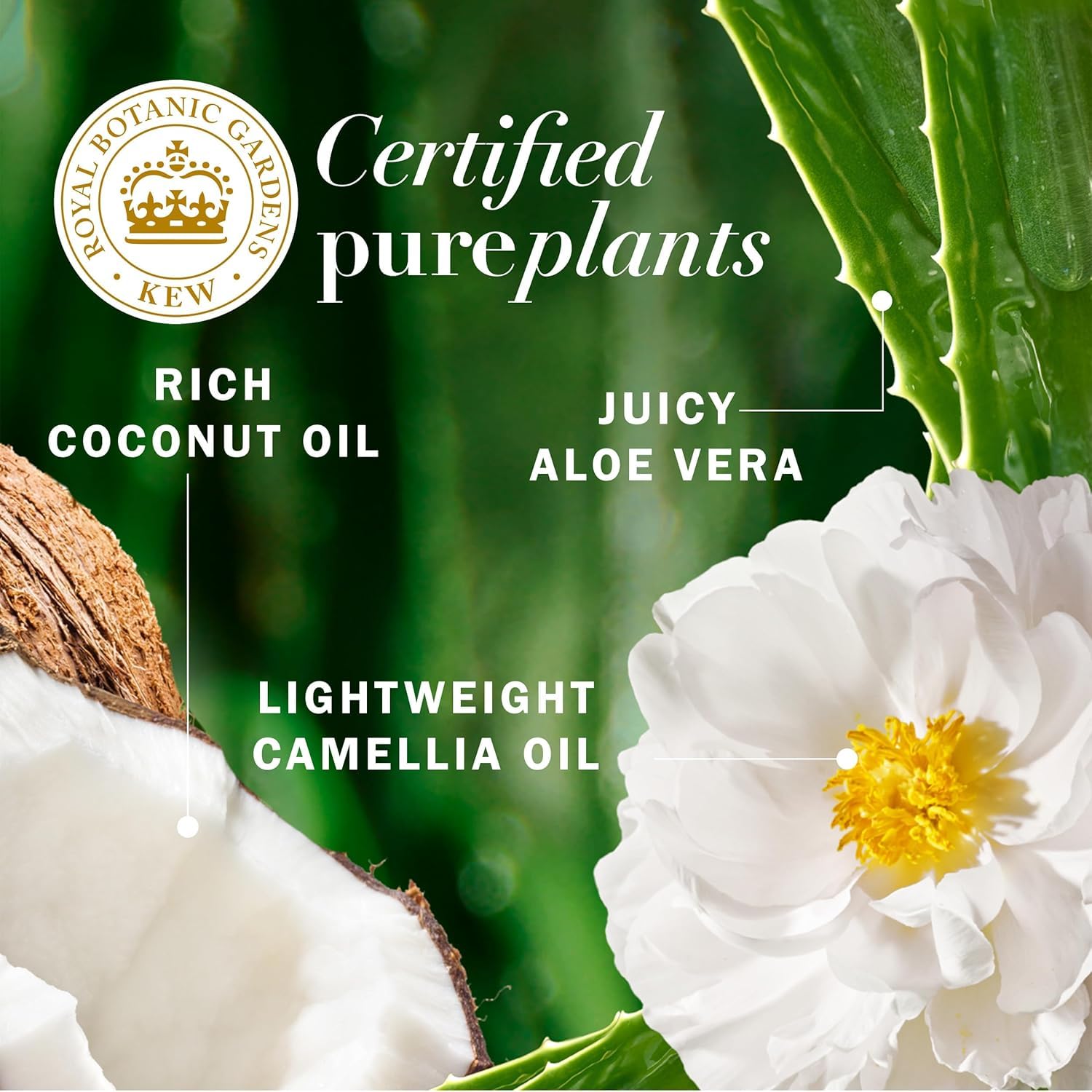 Herbal Essences Bio: Renew Coconut Milk Conditioner (Pack of 4)