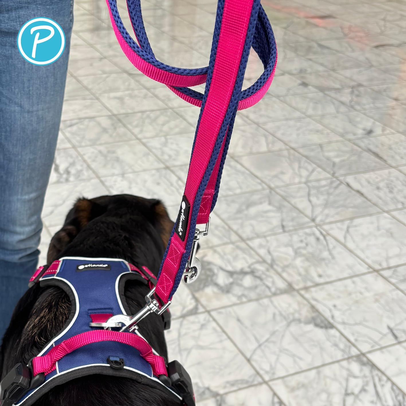 Petlando Hundeleine Magnetech – 3-Fach verstellbare Führleine, Karabiner-Verschluss, besonders leicht, zum Umhängen geeignet – Navy/Fuchsia Größe M 3m x 2,5cm
