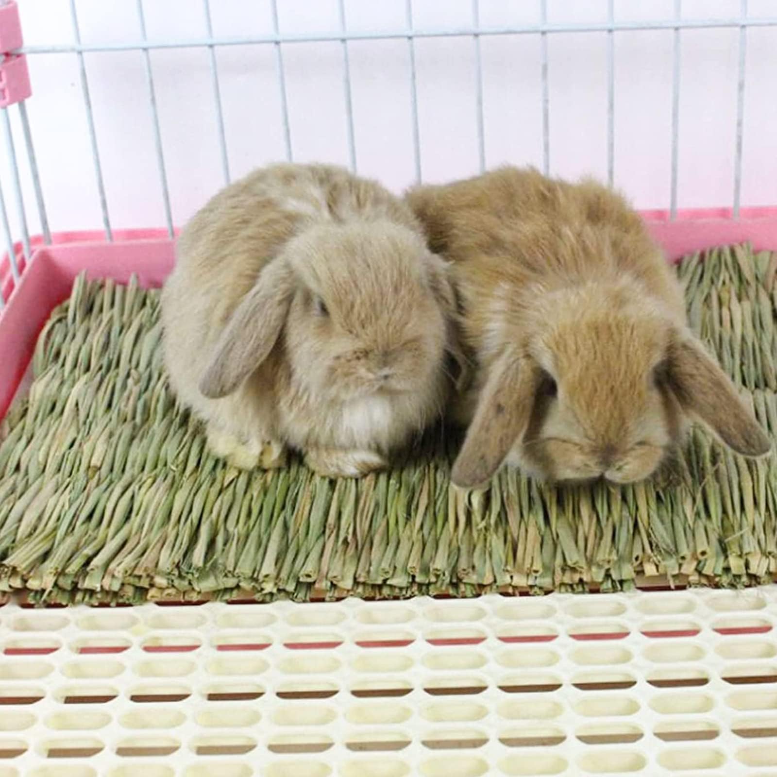 KATLKIU 4PCS Natural Grass Mat for Rabbits Edible Chew Toys Set including 12PCS Timothy Hay Sticks, Rose, Calendula - Image 3