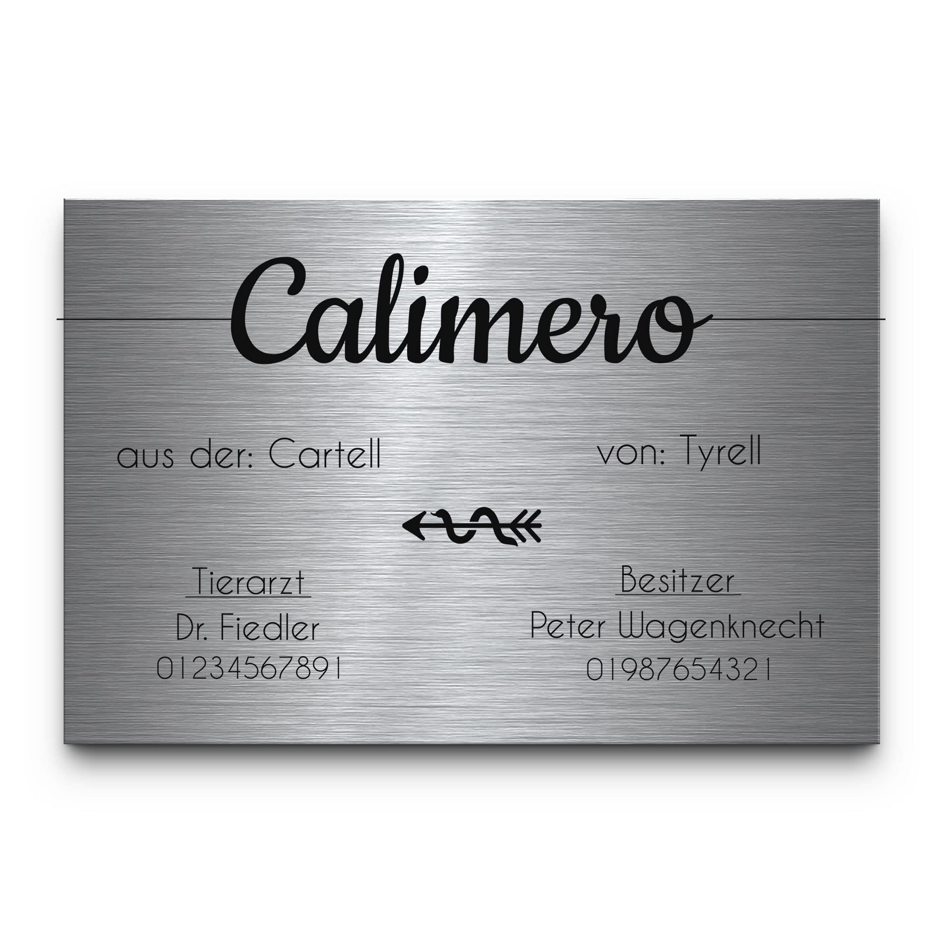 CHRISCK design Pferdeschild aus Premium Edelstahl mit Gravur | Namensschild Boxenschild Stallschild wahlweise mit Bohrlöcher 30x20 cm mit Brandzeichen und Motiven Ideal für den Stall Pferdebox… (D5)