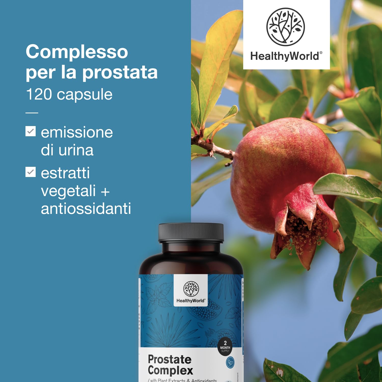 HealthyWorld® Complesso Per la Prostata - Per uomini - 120 Capsule Vegetali - Con Semi di Zucca, Melograno, Ortica, Saw Palmetto, Vitamina E, Zinco e Selenio - Supporto alla prostata