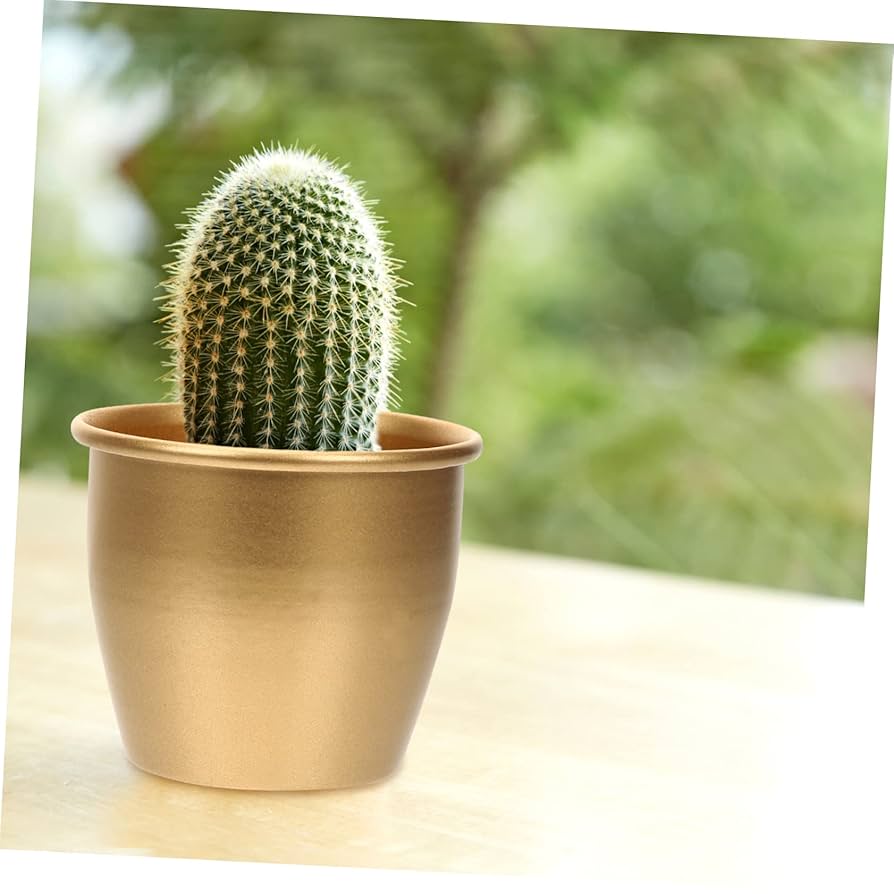 NEIGHBORHOOD × SRL 植木鉢 20cm 開封未使用 NEIGHBORHOOD × SRL 植木鉢 20cm 開封未使用 2025年最新