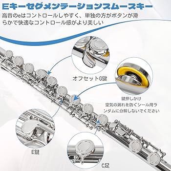 Amazon | BQKOZFIN フルート 16穴 Cキー 初心者セット 木管楽器 白銅