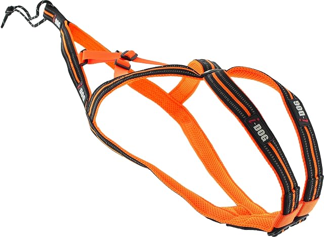 I-dog