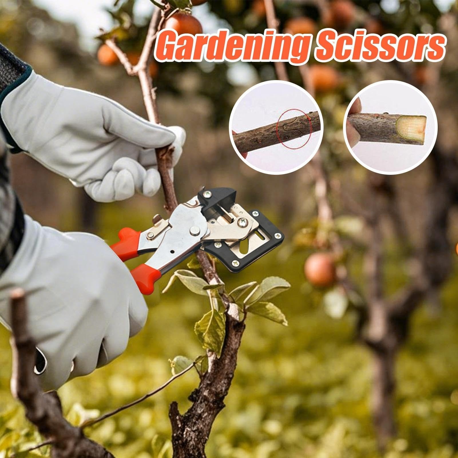 Cesoie for innesto 2 in 1, kit di attrezzi for innesto da giardino, cesoia for innesto di piante con impugnatura ergonomica, forbici da giardino resistenti for alberi da frutto, rami