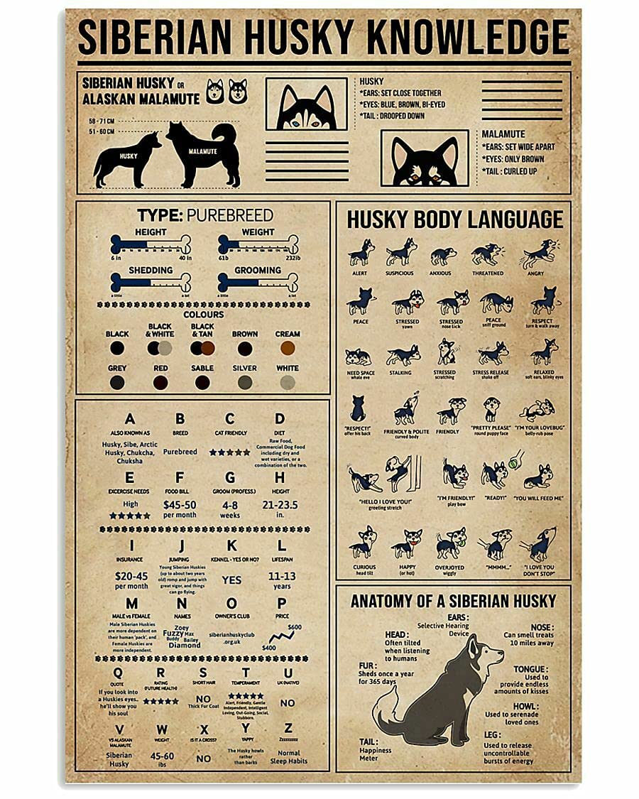 Biopracess Siberian Husky Knowledge Gift For Dog Lover Cool Wall D¨¦cor Art Metal Sign Art Tin Metal Poster Gift 8x12 inch