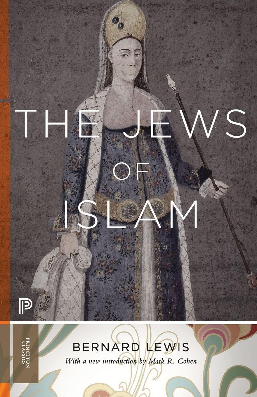 The Jews of Islam (Princeton Classics): Updated Edition: 11