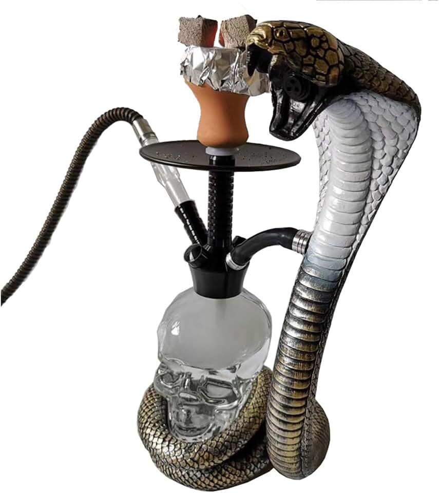 Amazon.ca shisha