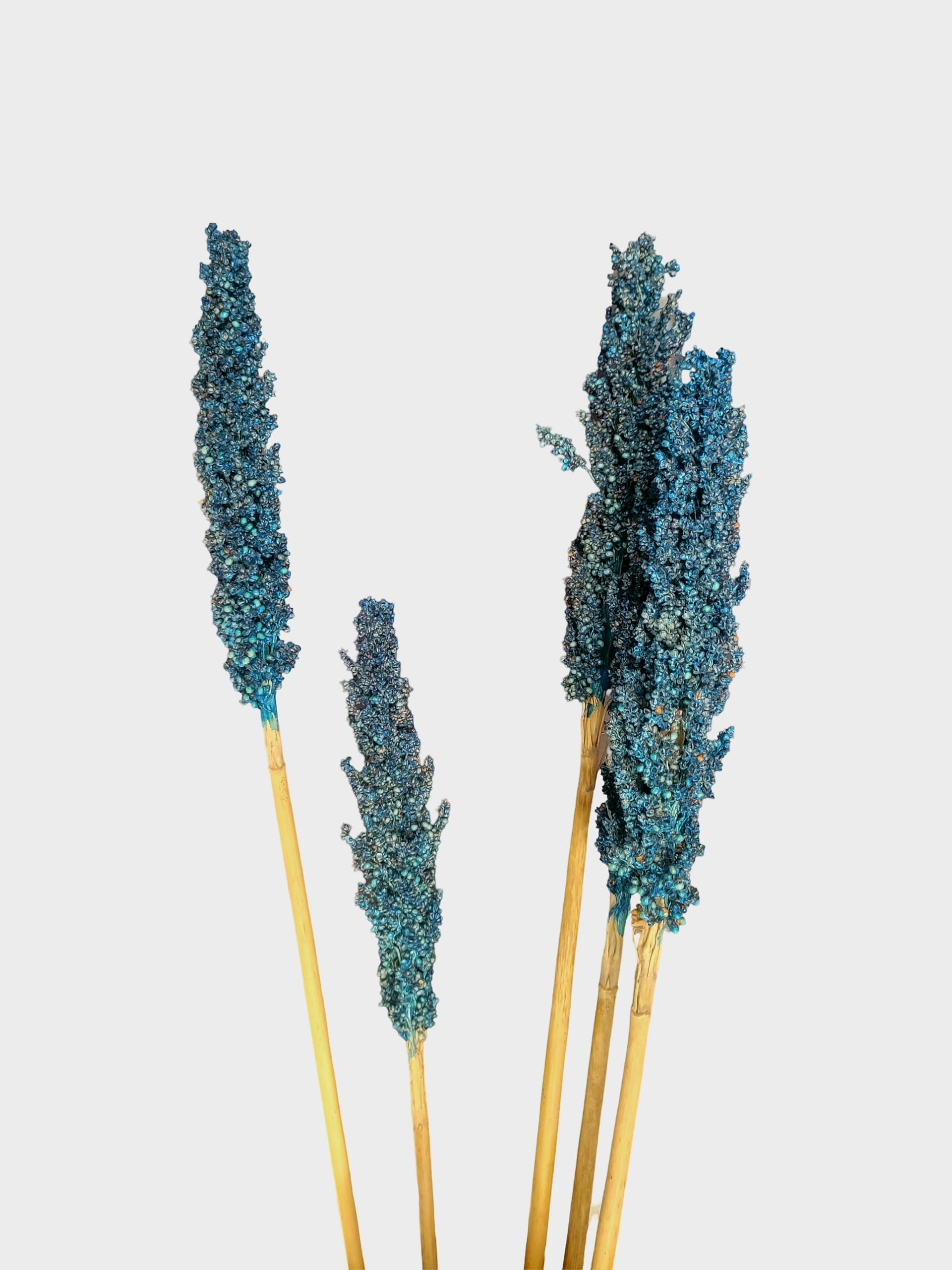 RUKDA® Dried Blue Sorghum Flower Sheaves || Stalks Dried Flower Dry Grass Bouquet for Wedding Table Centerpieces, Home & Office Decoration - 2pcs 1