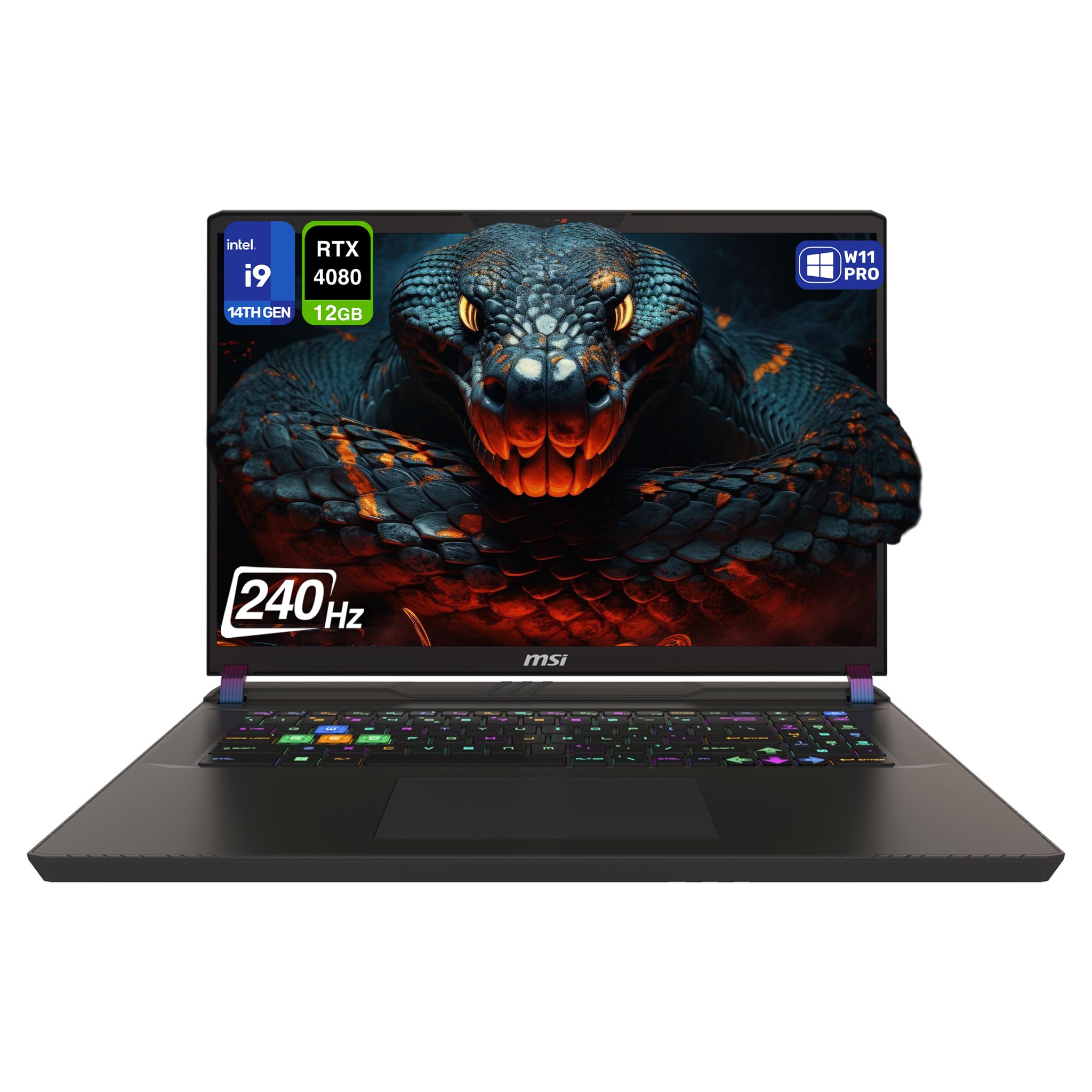Amazon.com: msi Vector 17 HX Gaming Laptop, Intel i9-14900HX, 64