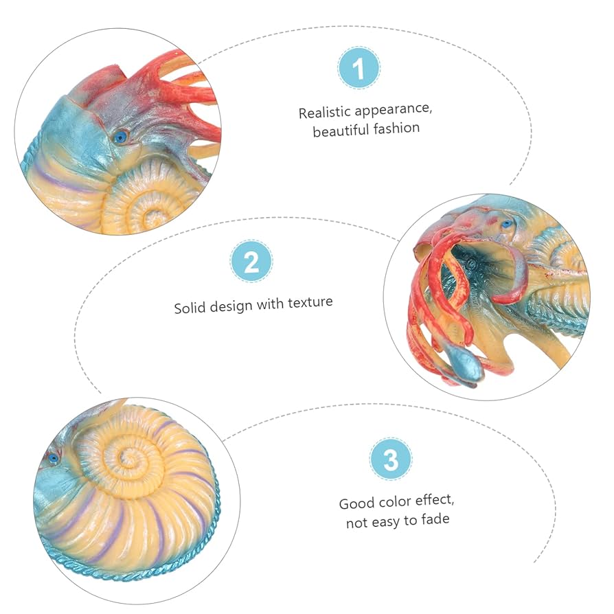 Amazon.co.jp: Alasum 模擬 オウムガイ 巻貝 ジュエリー 貝殻