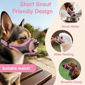 Mayerzon Mesh Dog Muzzle, Adjustable Muzzle for Small Short Snouted Dogs