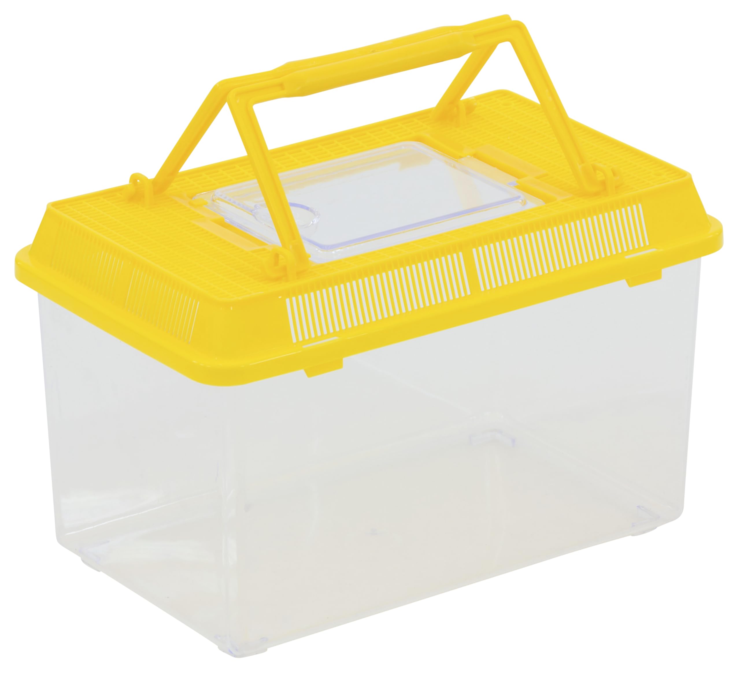 Betzold 10 kleine Experimentier-Behälter, 6 Liter, transparenter Kunststoff