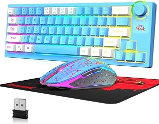 Wireless Gaming Keyboard and Mouse Combo, 12 RGB Backlit 64 Key Rechargeable 4000mAh Battery Wireless Keyboard and Mouse Set, 3 Level Adjustable DPI Mute Mouse for PC, Laptops, PS4(Blue Mixed)