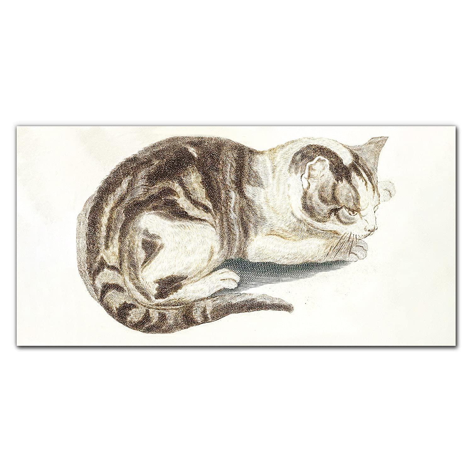 Crédence de cuisine adhésive chat pour stopper les taches sur le mur