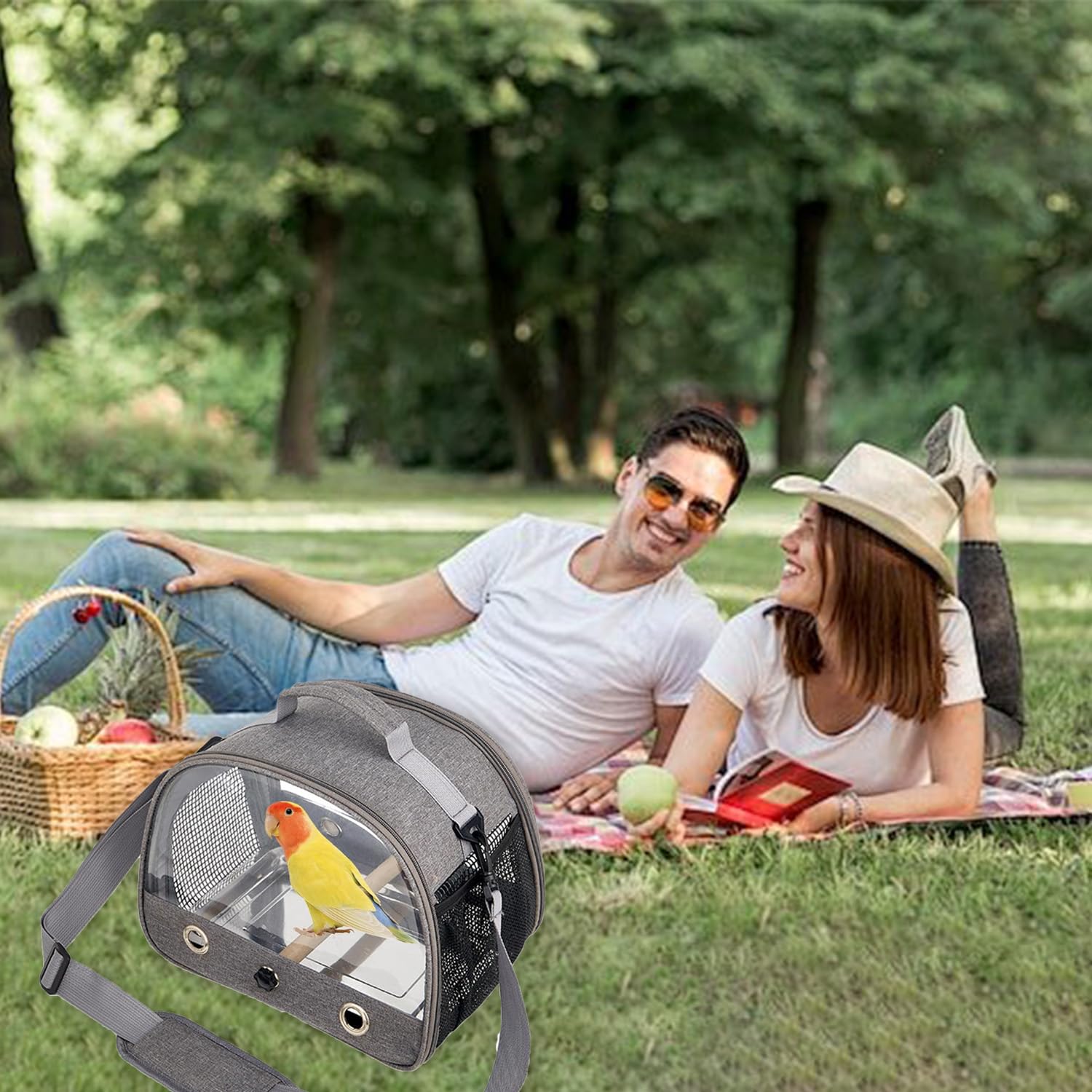 Bolsa de transporte para pájaros, portátil, transpirable, jaula de viaje con bandeja y postes de acero inoxidable, apto para pájaros, animales pequeños (gris)