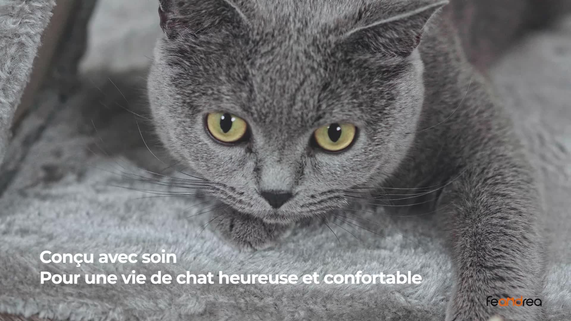 Feandrea Arbre A Chat Tour De Jeux Avec Plate Forme Gris Clair Pct51w Amazon Fr Animalerie