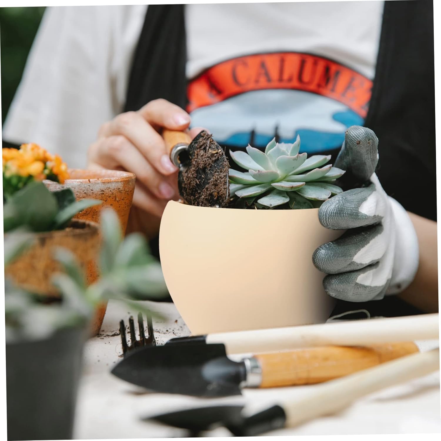 Ceramic Flower Pot for Desktop and Office Simple and Elegant Indoor Planter with Tray for Orchids and Home Decor