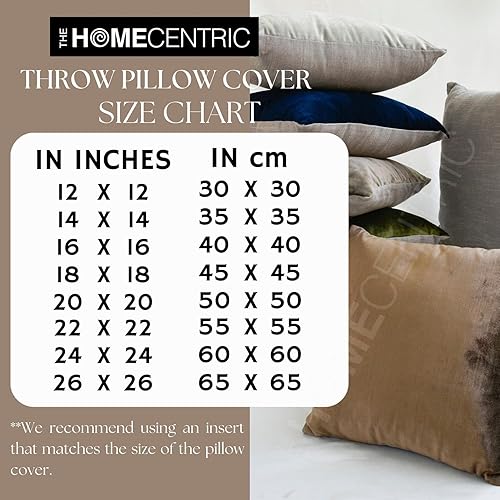 Miniatura 9 de The HomeCentric Funda de almohada decorativa beige de 20 x 20 pulgadas (19.7 x 19.7 in), almohadas para sofá, fundas de cojín de plumas de lino y