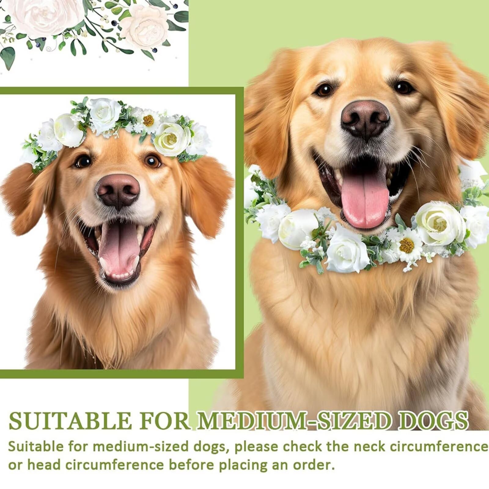 Collier à Fleurs pour Chien avec Perles, Laisse perlée, 120 cm, pour Chien de Moins de 12 kg