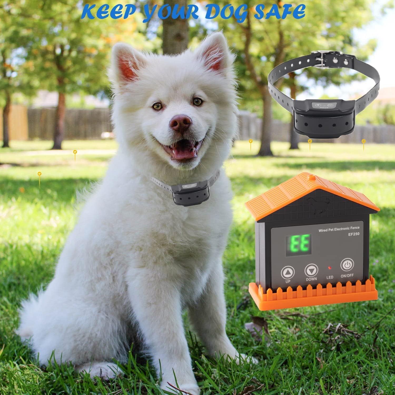 Electric Underground Dog Fence System, InGround Wired Pet