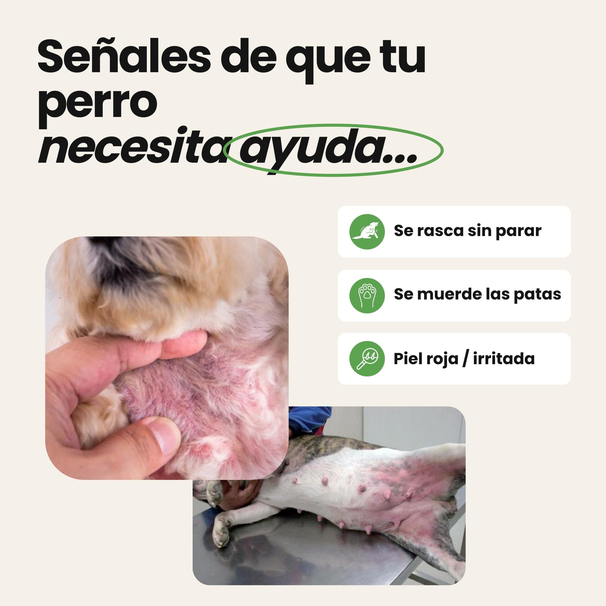 Antipicores y Pieles Sensibles para Perros – Suplemento Antipicores de 60 Unidades | Disane Pet Care
