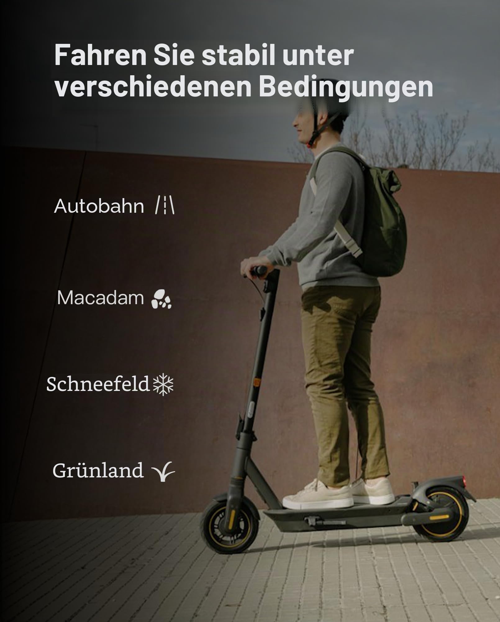 60/65-6.9 Tubeless Hinten Reifen kompatibel mit Segway Ninebot Max G2 G2D G2E G65 KickScooter, 10 Zoll Vakuum Gummi Selbstheilender Rutschfest Außenreifen Max G2 Elektroroller Original Zubehör