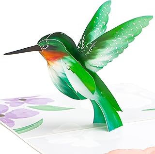 Sponsored Ad - Ribbli Hummingbird Pop Up Card, for All Occasion, Mothers Day Card, Thinking of You Card, Birthday cards fo...