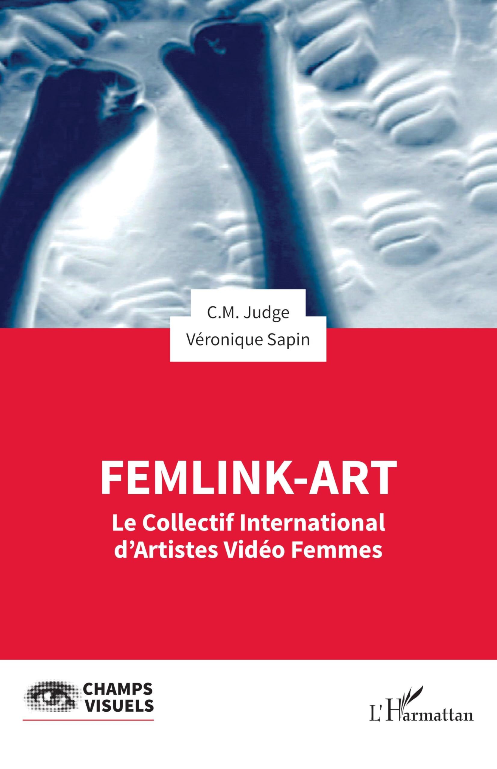 FemLink-Art: Le Collectif International d’Artistes Vidéo Femmes (Champs Visuels)