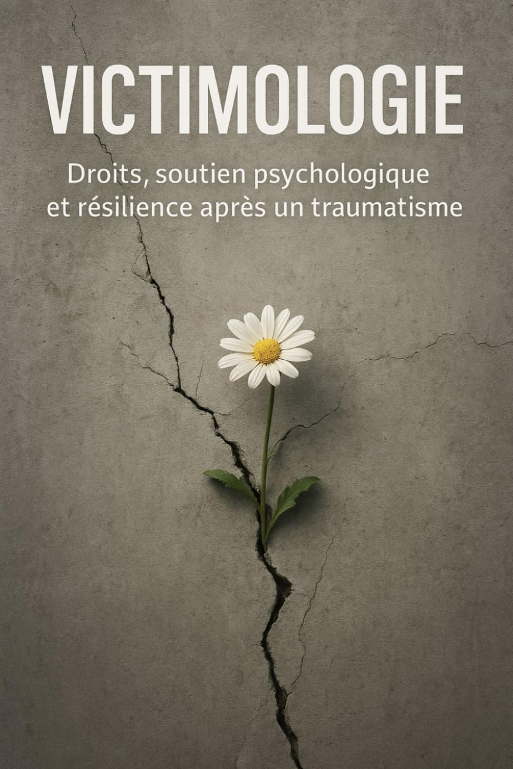 Victimologie: Droits, soutien psychologique et résilience après un traumatisme