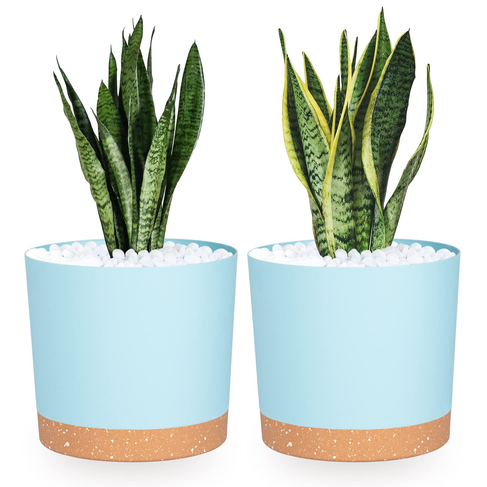 QCQHDU Plant Pots Set of 2 Pack 8 inch,Planters for Indoor Plants with Drainage Holes and Removable Base,Saucer Modern Decorative for Outdoor Garden Planters(LightBlue 8in)