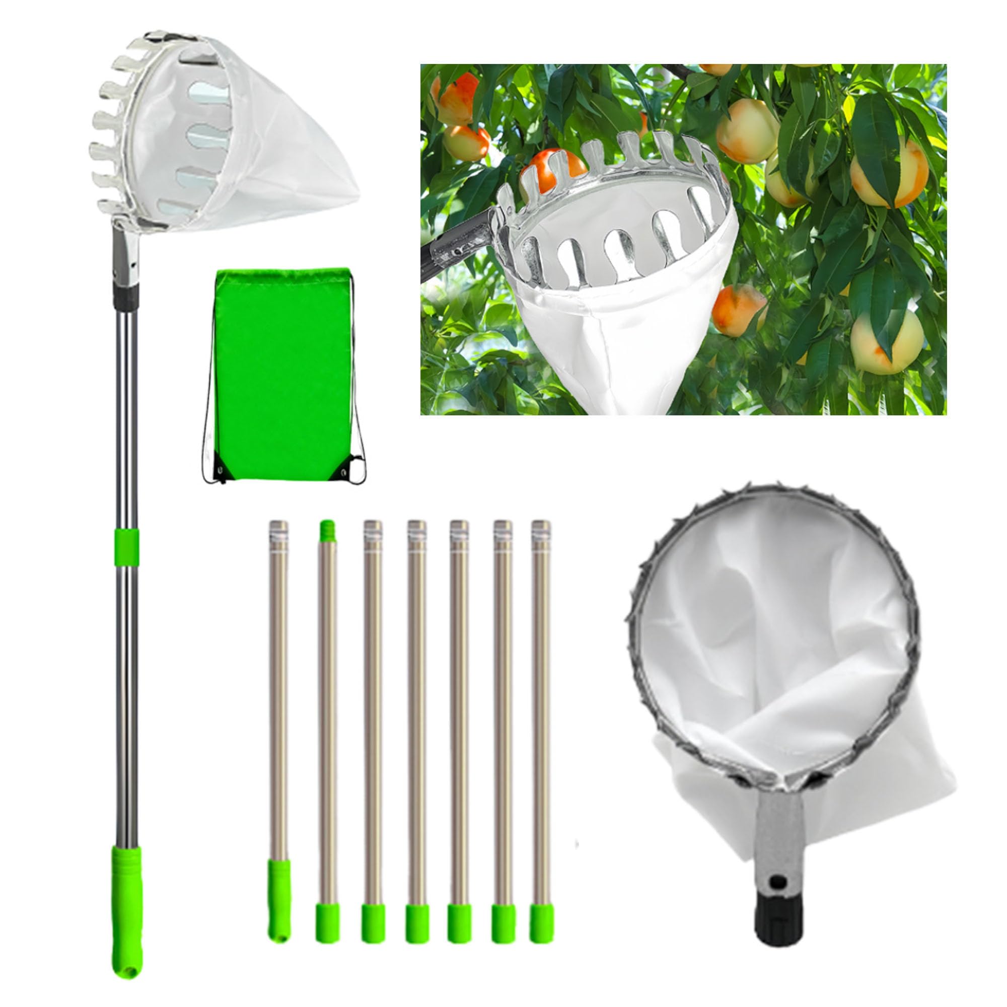 Raccoglitrice con Palo, Raccoglitore di Frutta Bastone, Raccogli Frutta, Raccogli Frutta Telescopico, Raccoglitore di Frutta Ad Alta Quota, Salvaspazio, Strumenti Pratici del Frutteto
