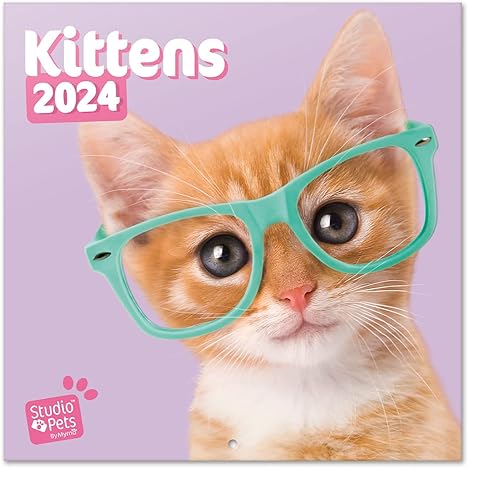 Calendario de pared oficial de Studio Pets Cats 2024 de 12 x 12 pulgadas, sin plástico, comienza la semana el domingo, agenda de 12 meses,