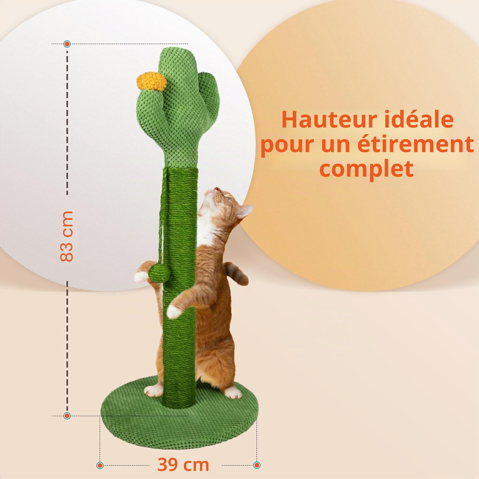 Mora Pets Griffoir Cactus Arbre à Chat Poteau Arbre Chat Tour Griffoir pour Petit Chats en Sisal 82.9 x 39 cm (H x Ø)