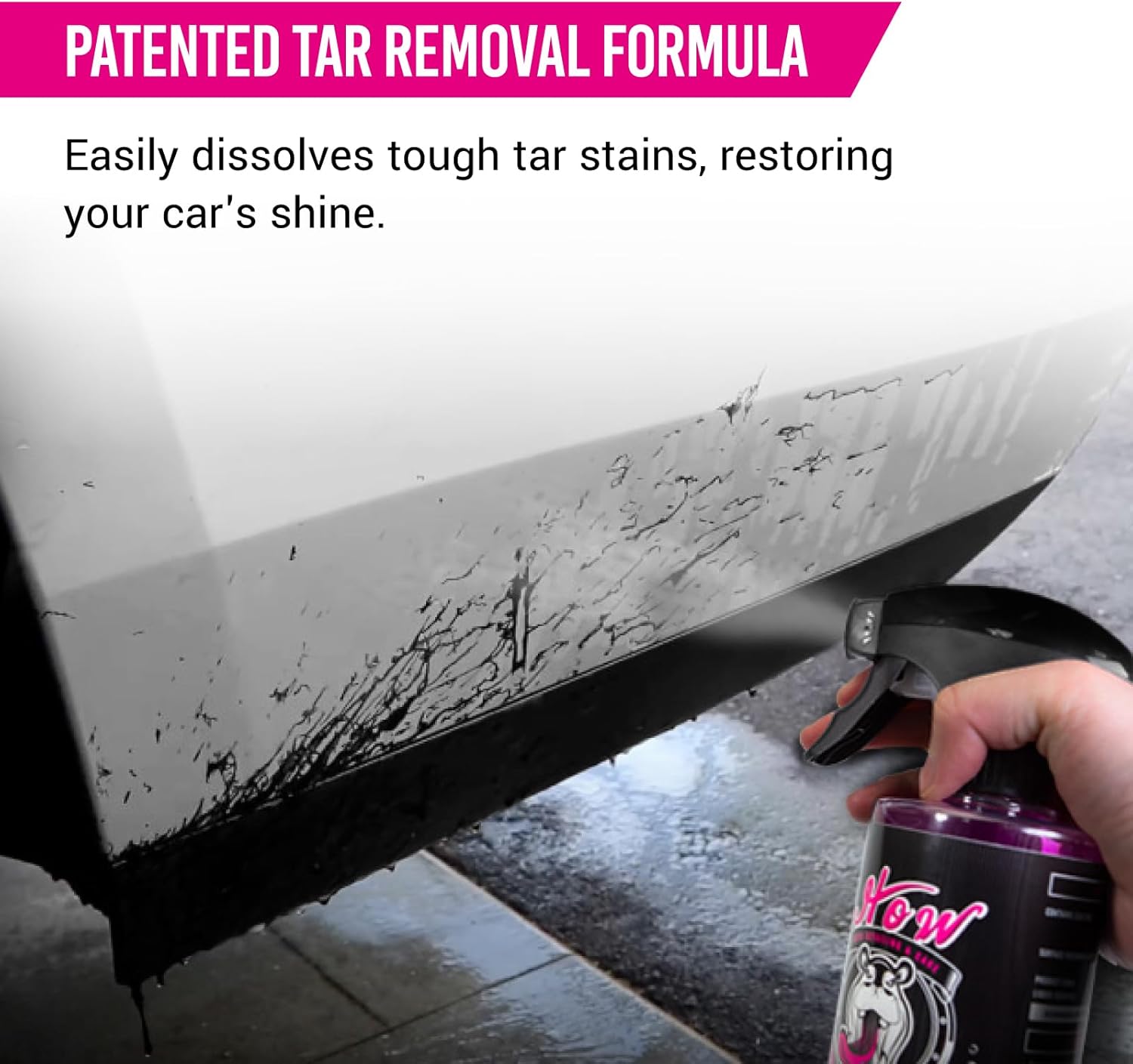 H.O.W AUTO DETAILING & CARE H.O.W SHINE SERIES Bug & Tar Remover & 3pcs Car Wheel Rim Tire Brushes