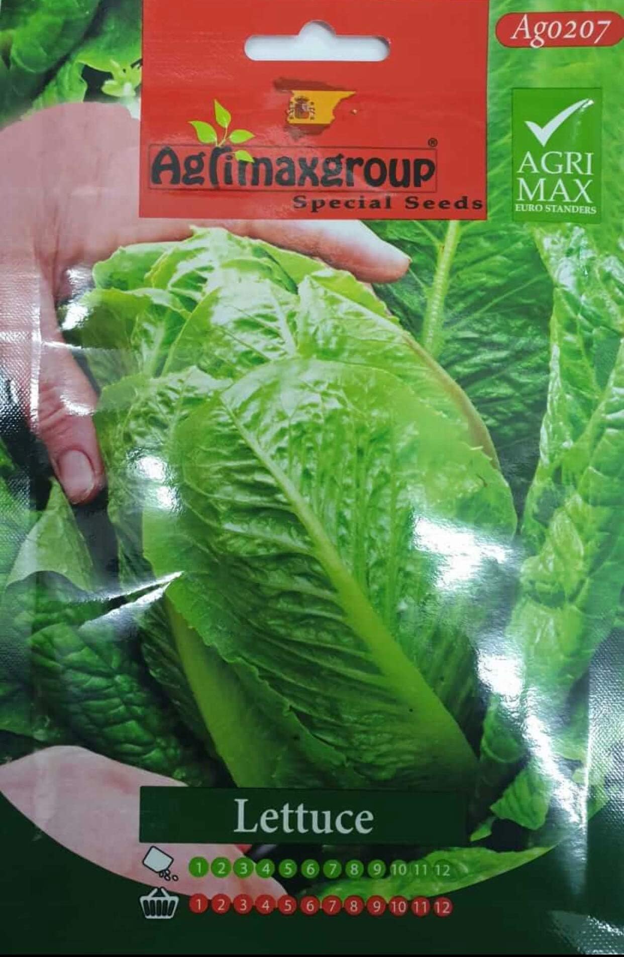Agrimax Lettuce Folded Seeds