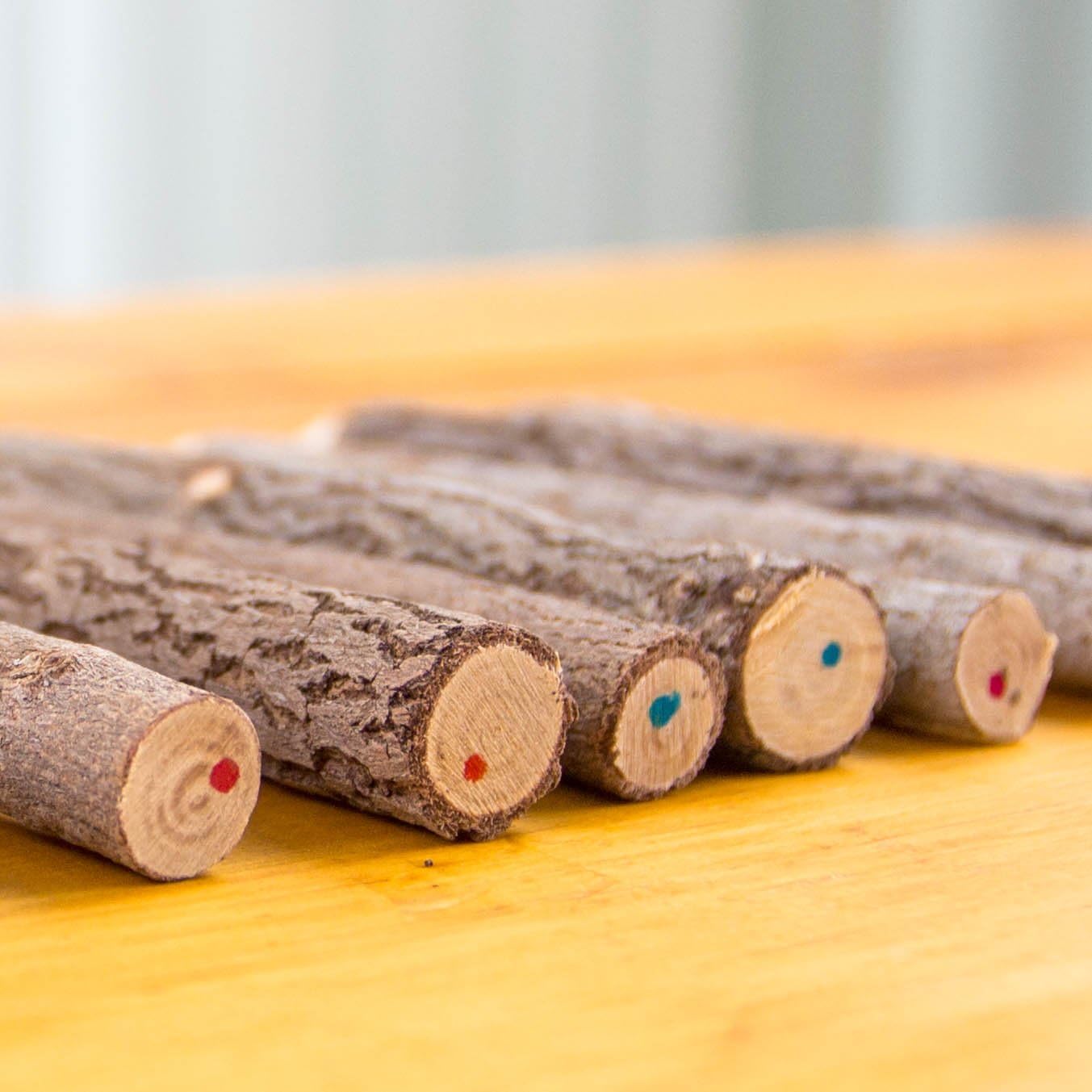 Assorted-Stick Twig Colored Outdoor Wooden Pencils Tree Child Camping Decorative Color