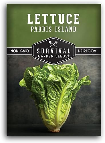 Miniatura 10 de Paquete de 2 semillas de lechuga Parris Island Cos para plantar, paquete con instrucciones para cultivar lechuga estilo romana en el huerto de tu