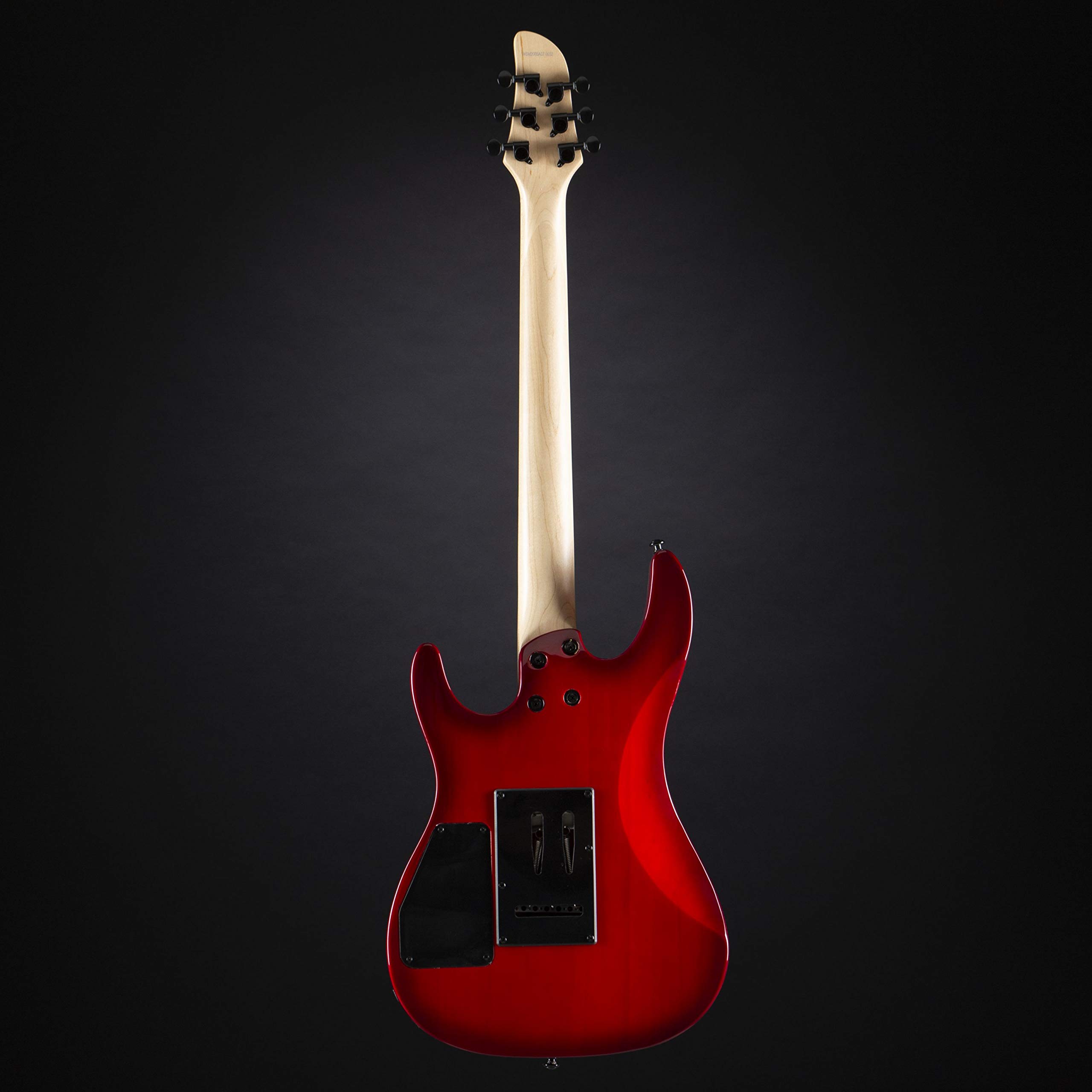 J&D 805 TRB Transparent Red Burst E-Gitarre mit High Output Humbuckern und Modern Vintage Tremolo