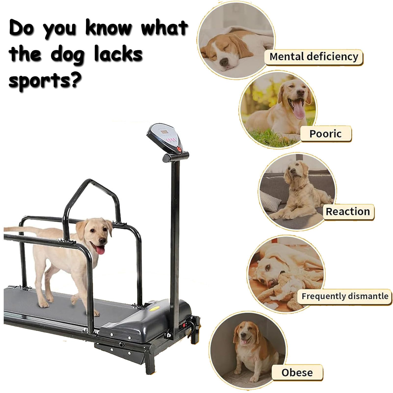 Tapis roulant per cani di piccola taglia – Attrezzo per esercizi per cani con display LCD, attrezzatura per esercizi interni ed esterni, strumento per la perdita di peso