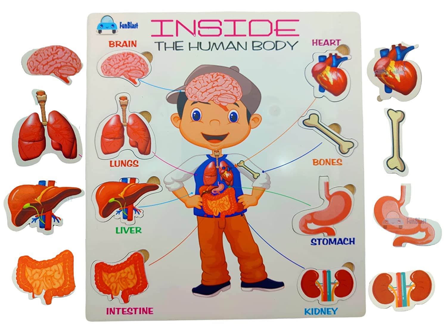 FunBlast Body Parts Puzzle For Kids Body Parts Toys Educational Toys 