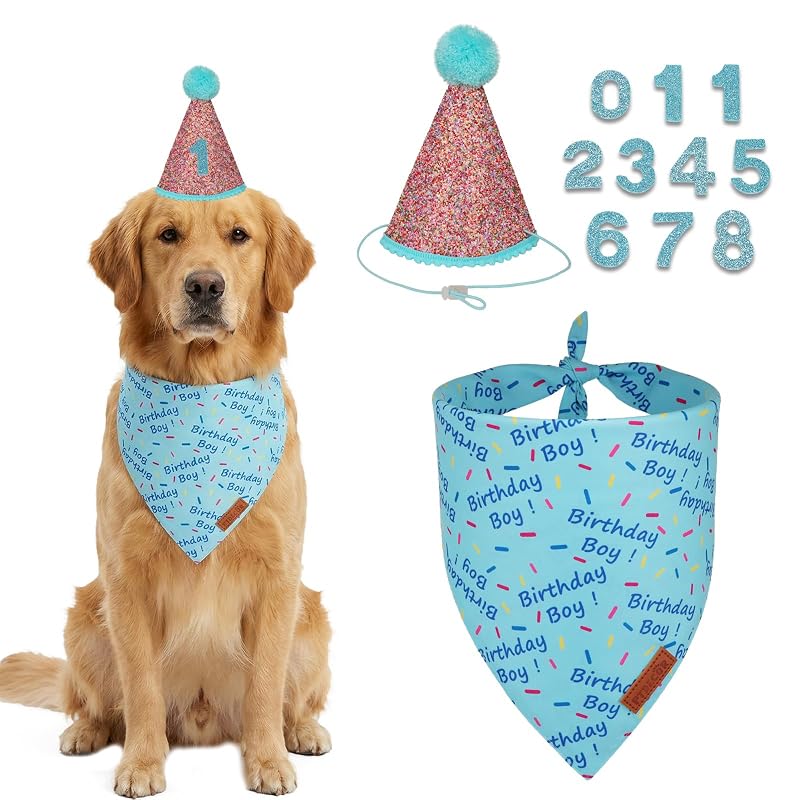Bandana e Chapéu de Aniversário para Cachorro Azul PTDECOR Tamanho X-Large, Pacote com 3