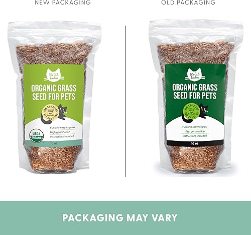 Miniatura 11 de Semillas de césped para gato 100% orgánicas (Sin OMG)