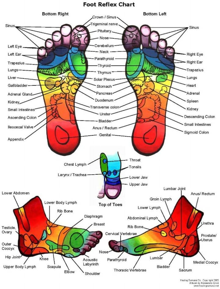 charts of - Reflexology Chart - Feet - A3 Poster Print