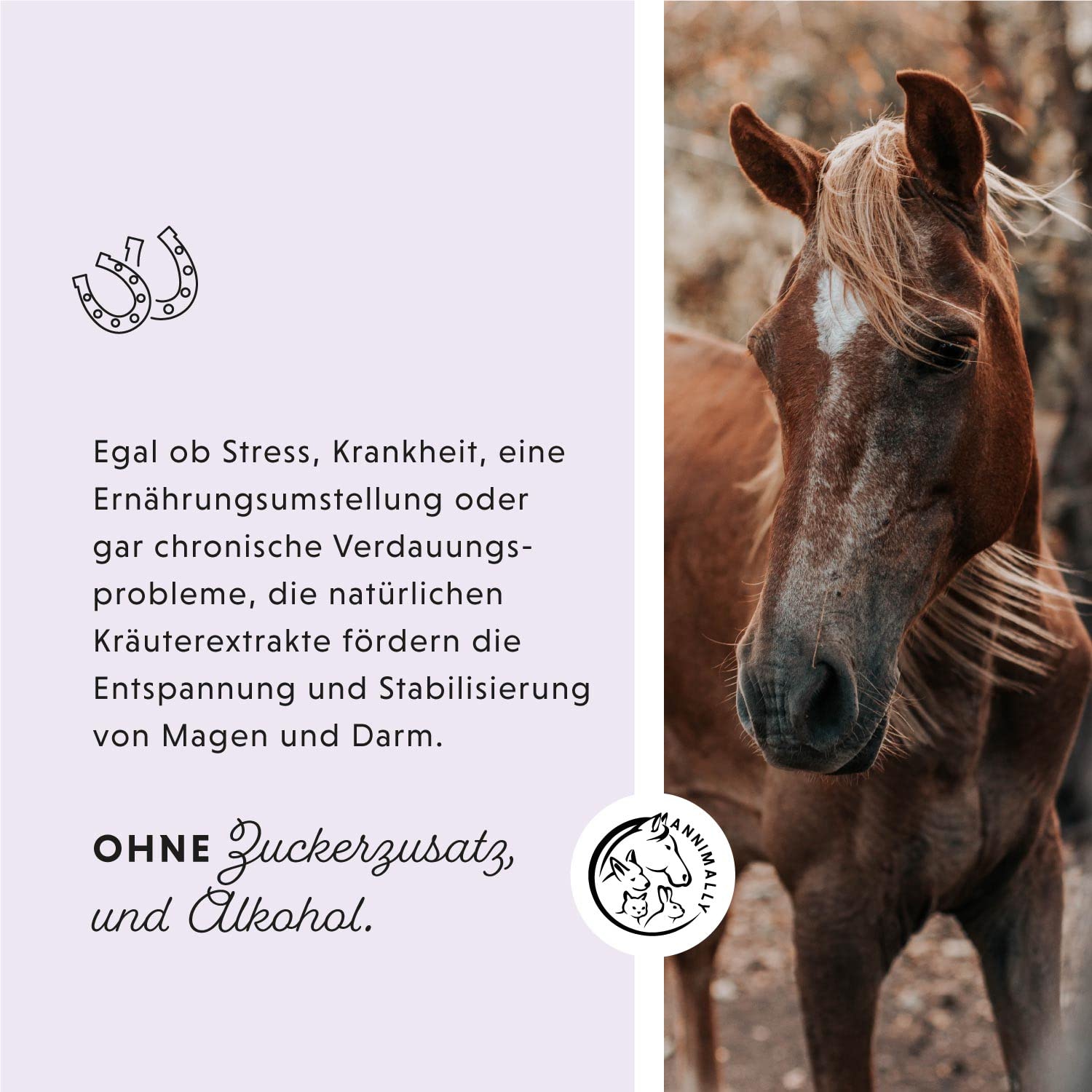 Annimally Magen Darm Liquid Pferd 1000ml - Gastro Colon Vital zur Unterstützung der Verdauung zum Beispiel bei Kotwasser - Natürliche Magen Kräuter für Pferde