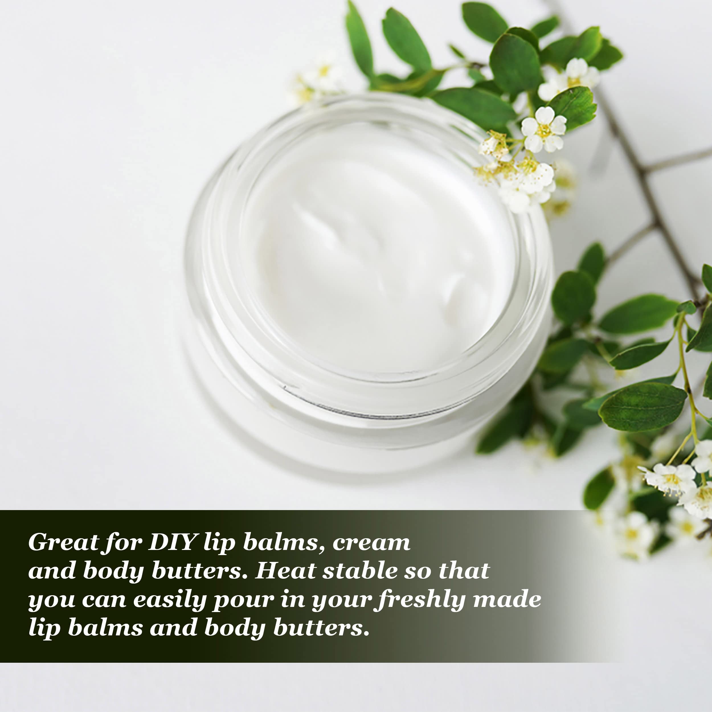 nsb herbals Acrylic Container San Jars With Black Outer Lid And Inner White Lid Set For Lip Balms, Diy Skin Care, Body Butters And Creams (Clear, 50 G) (3) 1