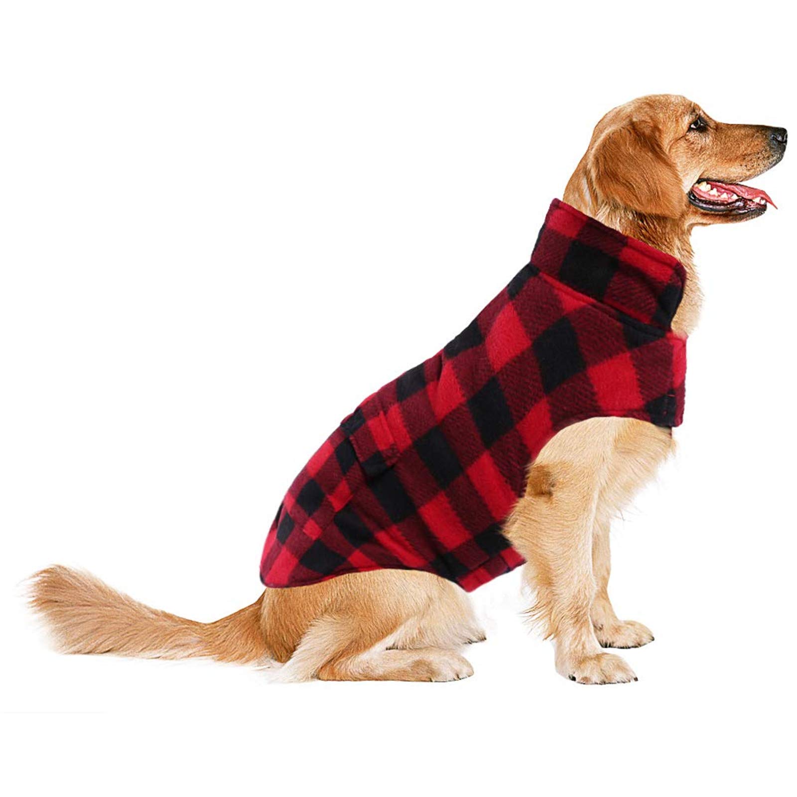 roosters dog jumper