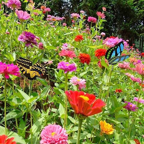 Miniatura 5 de Antallcky 100 estacas de mariposa para exteriores, maceta, maceta, cama, decoración de jardín, mariposas, decoraciones de Navidad, mariposas